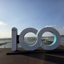 화성시장 | 경기화성 백미항, 궁평항수산시장 강수호 대방어 구입 후기