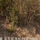 도신리 이미지