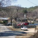 느티나무 할아버지 이미지