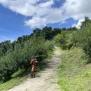 더나농장 이미지