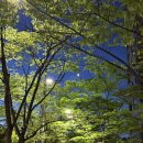 해선밧데리 | 임신18주 일본 오키나와 태교여행 1일차 : 대한항공, 해선식당 티다, 파르코시티, 하얏트리젠시세라가키