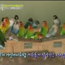 모란농장 이미지