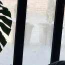 고운동_고운동(마음안로)2 이미지