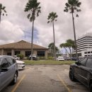 용현카프라자 | 괌으로 떠나용 셋째날 (돌고래투어,테이블35,오션뷰라운지,도스버거,K마트)