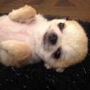 따봉PC방 | 실감조차도 나질 않아 너 하나 곁에 없으니 나 매일매일 하루하루가 내겐 그저 지옥같아