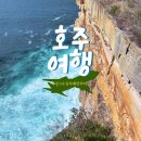 데이스위밍클럽 | [여자 혼자 호주여행] 놀러와 시드니 동부해안투어 반나절 데이투어 후기