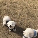 두푸딩하우스 이미지
