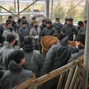 한국개량컨설팅 이미지