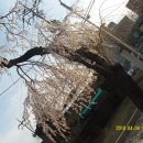 옥룡 파출소 이미지