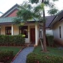 호텔정글(jungle) 이미지