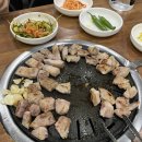 하바브