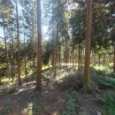 한증막펜션 이미지