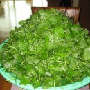 (주)질경이 이미지