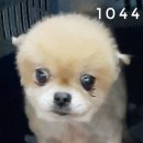 목포미래병원 이미지