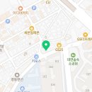 부산고양이분양 그린캣 이미지