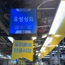 중앙상회 | 강릉맛집 강릉중앙시장 대방어 광어 유성상회 포장 후기