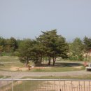 반곡중학교 이미지