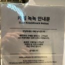카페녹녹 | [연남동 카페] 디저트 종류 대박인 감성카페 '녹녹(Knock Knock)' 솔직후기🥐☕
