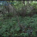 구산면579 이미지