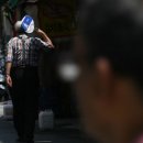 이동가축병원 이미지