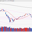 하나바이오 이미지