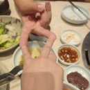 방가옥 | 원주 방가옥 예약 및 주차 내돈내산 후기