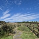 성샘목장 이미지