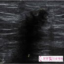 분홍빛으로병원 이미지