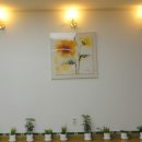 메종드마망 이미지