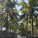 네일밭 | 1일차 : 코코넛마켓 - Areemitr Coffee 오렌지커피 - T massage 타이마사지 - nenenails art 네일샵