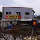 자명식당 티스토리
