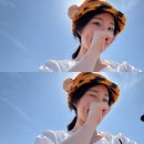 힘찬동물약국 | [#2025✈️] 상해 3일차