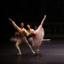 대구경북발레 페스티벌 이미지