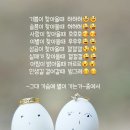 마이마이