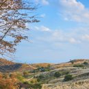 합천게스트하우스민박 | 2025 합천 황매산 억새축제 기간 주차 등산코스 추천