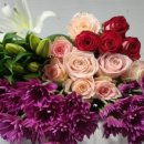 여리농장 이미지