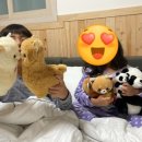 에이스 풀빌라 이미지