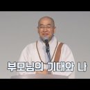 [법륜스님의 즉문즉설 제 1513회] 부모님의 기대와 나 이미지