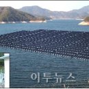 우리태양광발전소 이미지