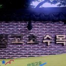 경기도 가평 아침고요수목원&남이섬(2024년 7월 6일~7일)사진 동영상 이미지