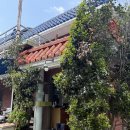 고향가든 | 보령 어죽 맛집 - 고향가든 내돈내산 후기