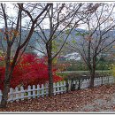 우가돈가 이미지