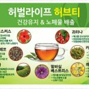 해피타운점핑클럽