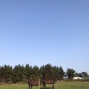 연정목장 이미지