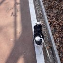 광명수산 | 내돈내산 서울 대방어 맛집 성신여대 광명수산 포장 예약 후기