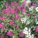 오투(O2) 이미지