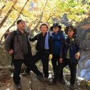 숨은진주 이미지