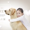 리치동물병원 이미지