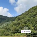 샬롬하우스 | [블챌] #01. 여름휴가 그리고 최악 샬롬하우스가평(명지계곡,용소폭포)