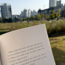 샘터화장품